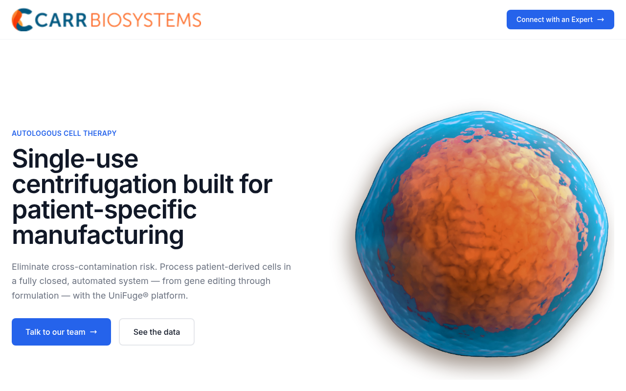 Autologous landing page preview